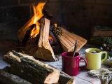 Proč si vybrat dubové palivové dřevo na topení?